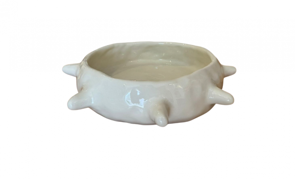 [category]_862_PLAT PICOT