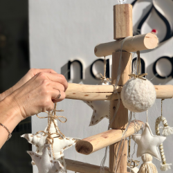 [category]_831_SAPIN DIVALI