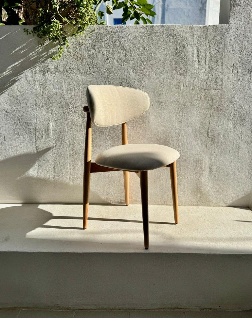 [category]_880_CHAISE NOYA